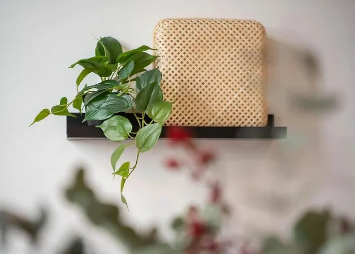 Josef's I Cozy Retro Vienne